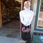 Cambria_0441 (November 01, 2013)